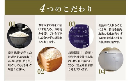 【定期便／12ヶ月】ゆきまち米5kg 極上魚沼産コシヒカリ お米 こしひかり 魚沼産こしひかり