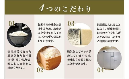 ゆきまち米 2合×10個 【極上魚沼産コシヒカリ】 お米 コメ