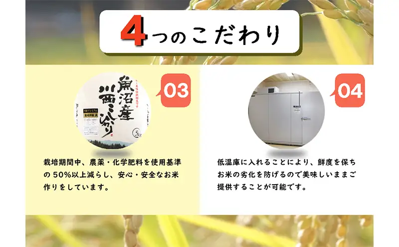 魚沼産川西こしひかり5kg×3 