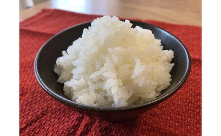 【2025年度産】魚沼産特別栽培米コシヒカリ 10kg お米 おこめ こめ 精米 白米 こしひかり 新潟 