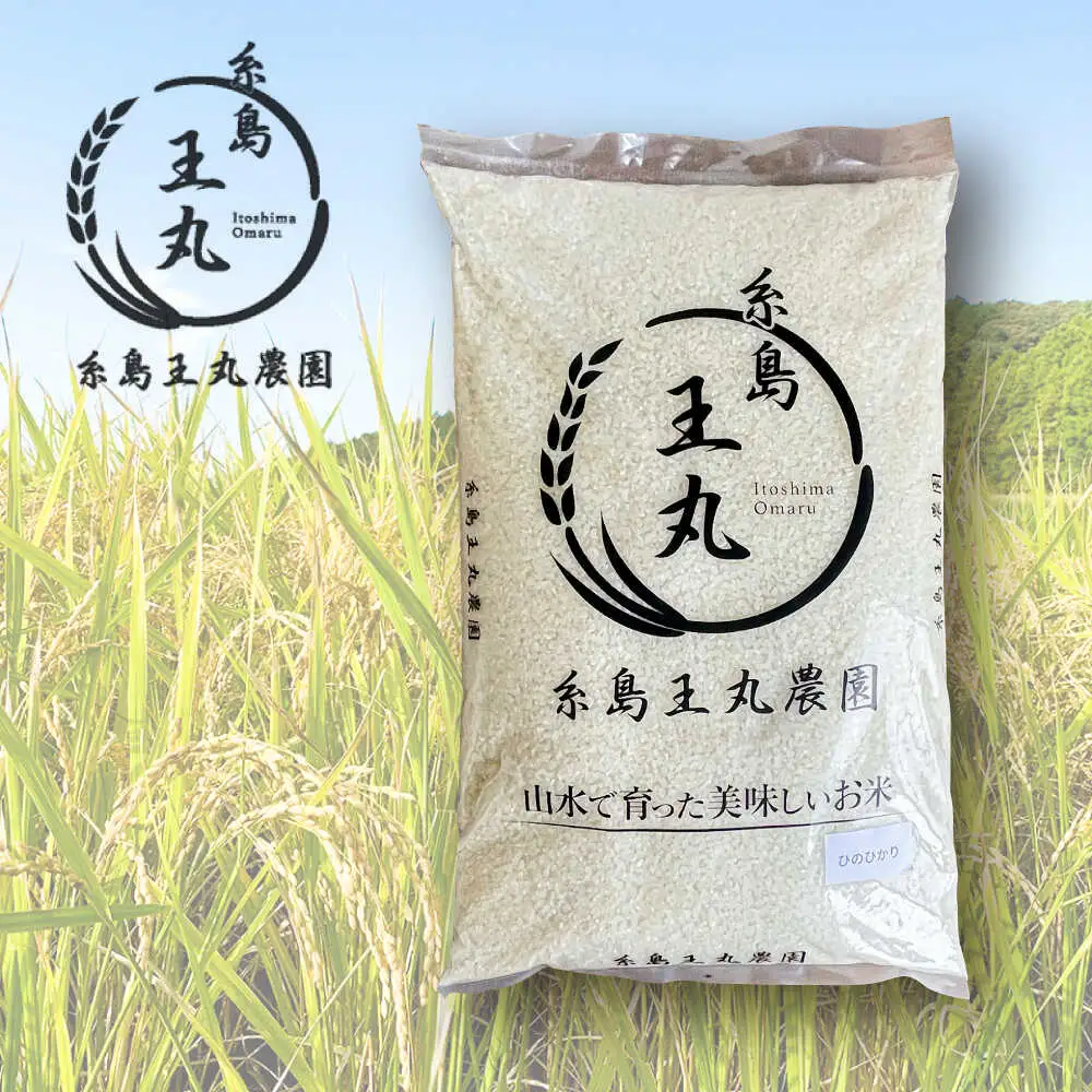 糸島産 ヒノヒカリ 5kg 糸島市 / 糸島王丸農園　( 谷口汰一 )【いとしまごころ】 [AAZ010]