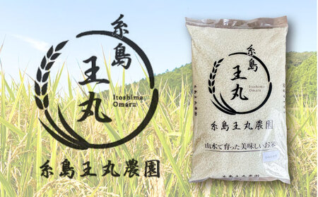 【全6回定期便】糸島産 ヒノヒカリ 5kg×6回 　糸島市 / 糸島王丸農園 ( 谷口汰一 )【いとしまごころ】 [AAZ012]