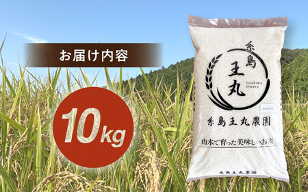 糸島産 ヒノヒカリ 10kg  糸島市 / 糸島王丸農園 ( 谷口汰一 )【いとしまごころ】 [AAZ014]