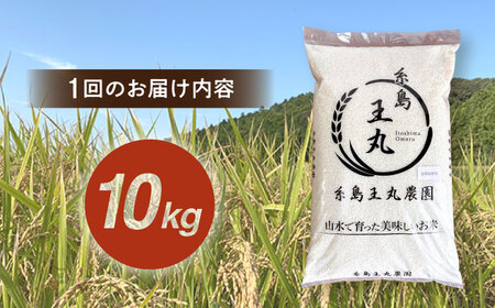 【全6回定期便】糸島産 ヒノヒカリ 10kg×6回 糸島市 / 糸島王丸農園 ( 谷口汰一 )【いとしまごころ】 [AAZ016]