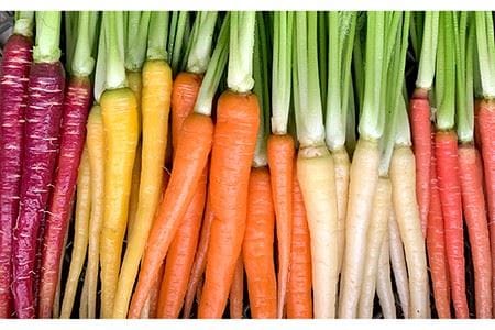 糸島産 季節 の 野菜 詰め合わせ （ おまかせ 10品 以上 ）《糸島》【ひめしま渡船直売所】 [ANJ001]