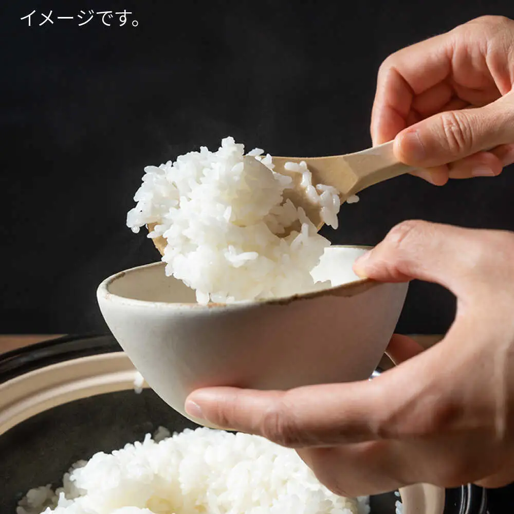 【お中元対象】糸島 で 農薬 を使わずに育てた 山つき 糸島米 3kg （ コシヒカリ ）《 糸島 》【株式会社やました】 [ARJ009]