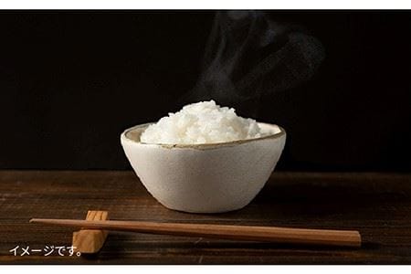 【 6回 定期便 】 糸島 で 農薬 を使わずに育てた 山つき 糸島米 3kg （ 夢つくし ）《 糸島 》【株式会社やました】 [ARJ011]
