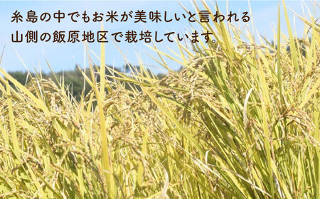 ＼令和6年産／ 糸島産 餅米 5kg 自然栽培 天日干し 糸島市 / 大石ファーム[ATE005]