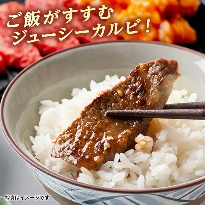 【 全3回 定期便 】博多和牛 厚切り カルビ  1kg ( 500g × 2P ) 糸島 【幸栄物産】 [ABH038]