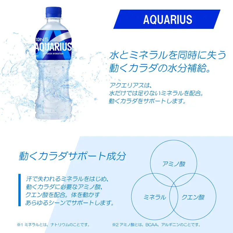 アクエリアス 500mlPET（24本入）コカ･コーラ スポーツ飲料 熱中症対策  コカ・コーラ BB-0001