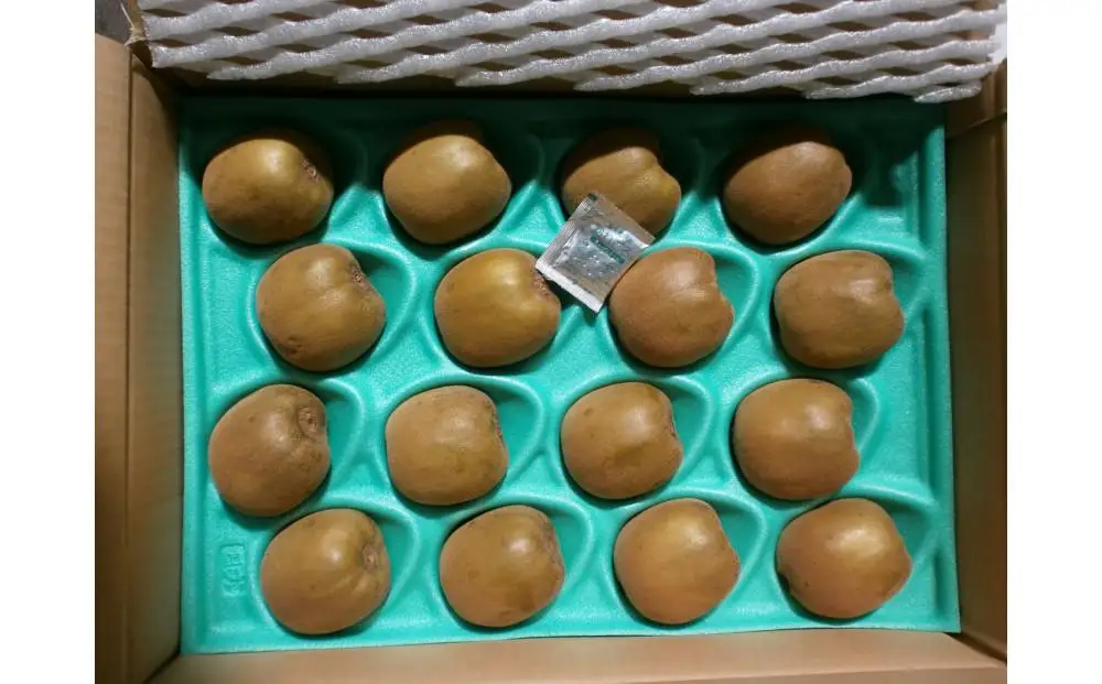 さぬきゴールド キウイ 大玉 約 3.2kg キウイフルーツ 【10月中旬頃～発送】