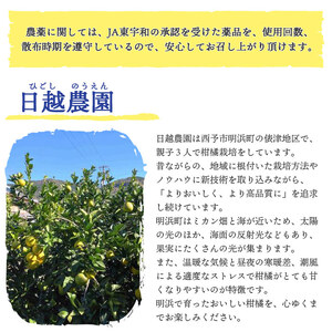 日越農園 愛媛県明浜産 河内晩柑 10kg AHN0003