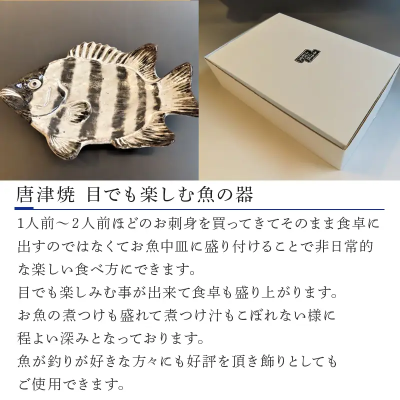 唐津焼 お魚 中皿シリーズ(イシダイ)