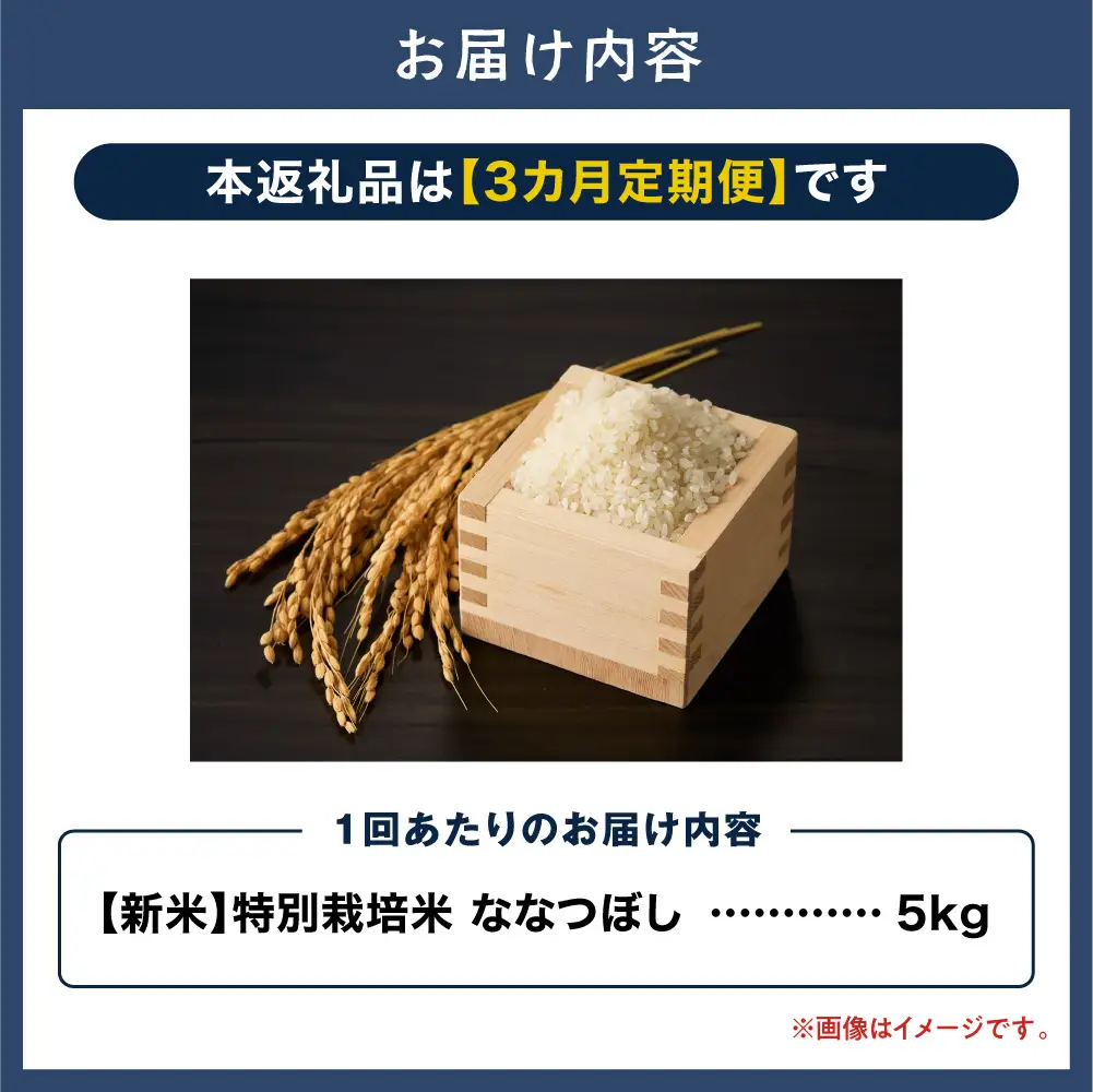 【令和8年度先行受付】大塚農場 特別栽培米ななつぼし　5kg【3ヶ月定期便】 | お米 米 白米 定期便 北海道 当別町