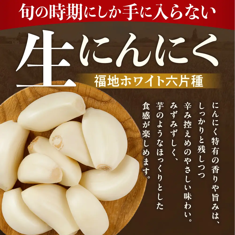 【令和9年度先行受付】生にんにく（福地ホワイト六片種）1.5kg（15個～25個程度）