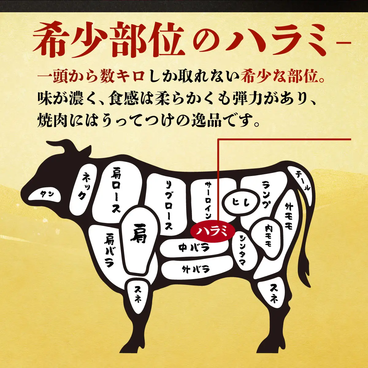 ヤマジュウの特選タレ漬け！和牛ハラミ肉５００g＆国産牛ホルモン３００ｇ