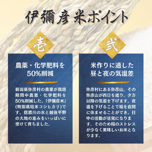 令和7年産 特別栽培米コシヒカリ 伊彌彦米 10kg | 伊彌彦米 新潟県