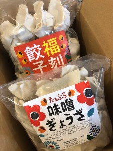 居酒屋のおかあちゃん手作り “パリパリひと口ぎょうざ”と“もちもち餃子”コラボセット 合計80個 H136-039