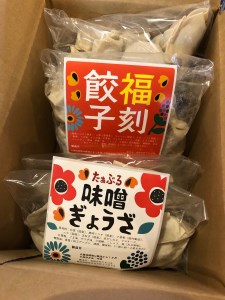 【3か月定期便】居酒屋のおかあちゃん手作り “パリパリひと口ぎょうざ”と“もちもち餃子”コラボセット 合計90個 H136-044