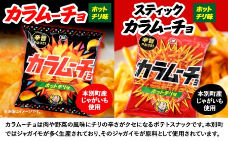 湖池屋 「カラムーチョ」2種セット(各12袋) ポテトチップス