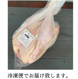 鶏肉 訳あり 地鶏丹波黒どり 丸どり 中抜き 丸1羽 約2.5kg 京都亀岡丹波山本 鶏肉 国産鶏肉 京都産鶏肉 亀岡産鶏肉 鶏肉