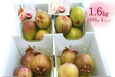 A565 あまい生いちじく（400ｇ×４パック）いちじく