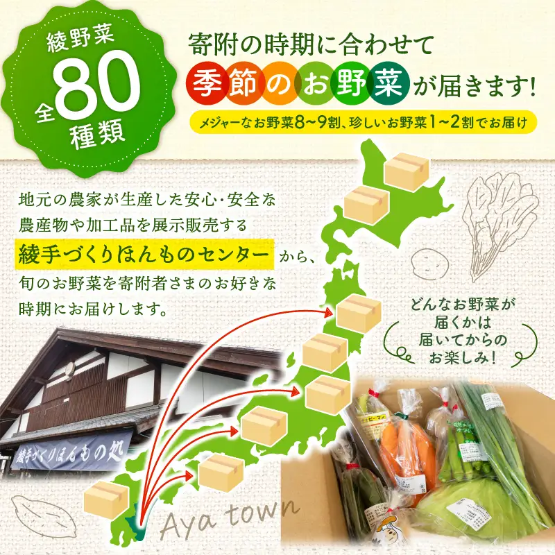 日時指定OK！本日のお野菜セット （中サイズ/約11～13種） /  野菜 有機栽培 産地直送 新鮮 旬 詰め合わせ 宮崎県綾町_A0053-005