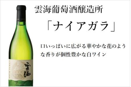 雲海 葡萄酒 醸造所 ワイン 鶏 ささみ くんせい セット おつまみ 飲み比べ 甘口 白 辛口 赤 スモーク 燻製【雲海酒造】_A0114-0701