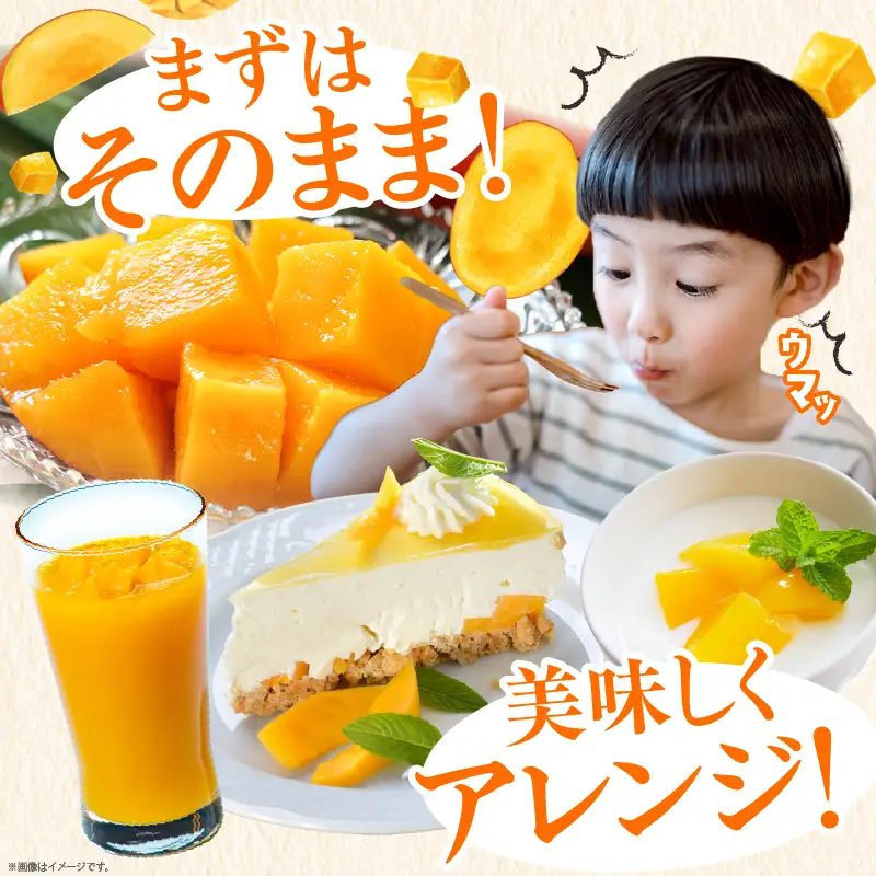 【先行予約/数量限定】完熟マンゴー 2L×2玉（パック）/ 宮崎県産 マンゴー【JA綾町】_A0114-1021