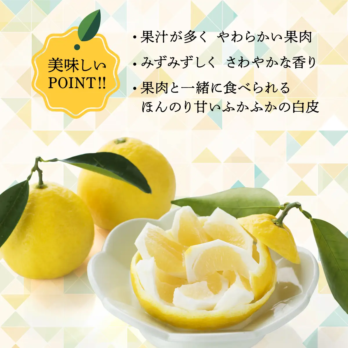 先行受付】初春の旬「日向夏」種なし 2.5kg 果物 フルーツ くだもの