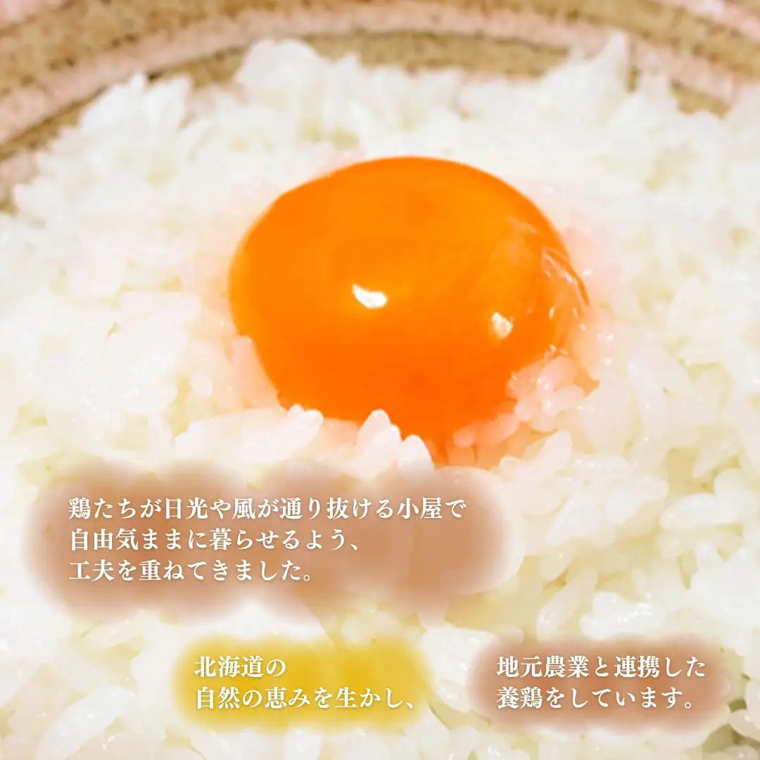 北海道産たまごを食べ比べ「とうきびたまご３種」６個入×４パック　酒井農場