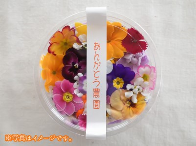 食用花 スペシャルセット ハーブティブーケ1束・エディブルフラワー 約30g・ベビーリーフミックス 約150g or ハーブミックス約150g
