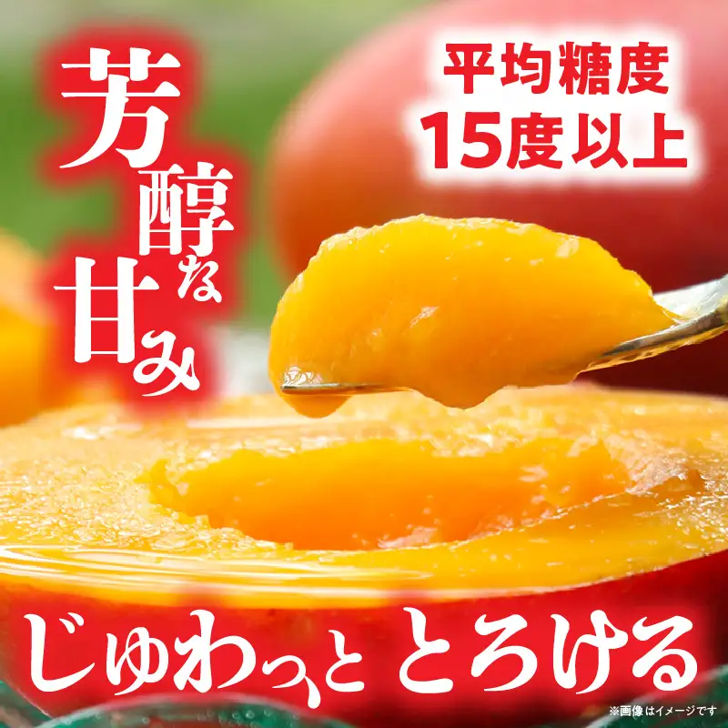 【数量限定】宮崎完熟マンゴー約1.8～2kg (大小混合3～5個)_K005-013