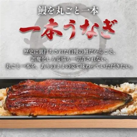 うなぎ四代目菊川の「丸ごと一本鰻」2本入【配送不可地域：離島】【1228655】