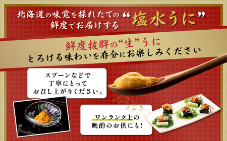 【ふるなび限定】無添加 極上 エゾバフンウニ 塩水パック 500g 配送期間A：6月上旬～8月中旬 FN-Limited-PR