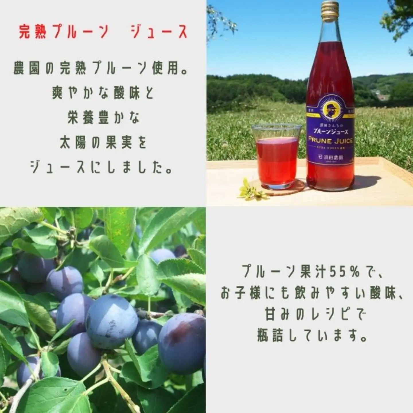 須田農園　ジュース＆ ドライフルーツセット （果汁100％りんごジュース　完熟プルーンジュース　ドライプルーン）[SU-110]