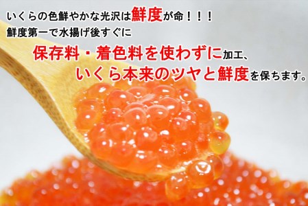 北海道産 網元特製 塩いくら 鮭卵 200g