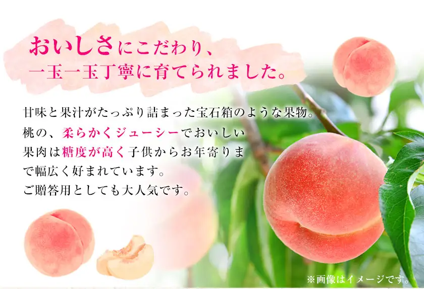 あら川の桃 秀品 約1.5kg (4玉～6玉)