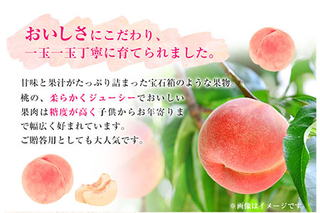 あら川の桃 秀品 約4kg(10玉～16玉)