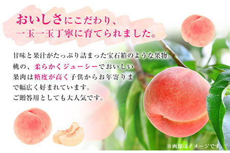 和歌山県産 桃 秀品 約4kg(12玉～16玉)