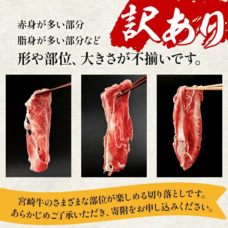 牛肉 こま切れ・切り落とし 牛肉[宮崎牛 1.2kg 訳あり]