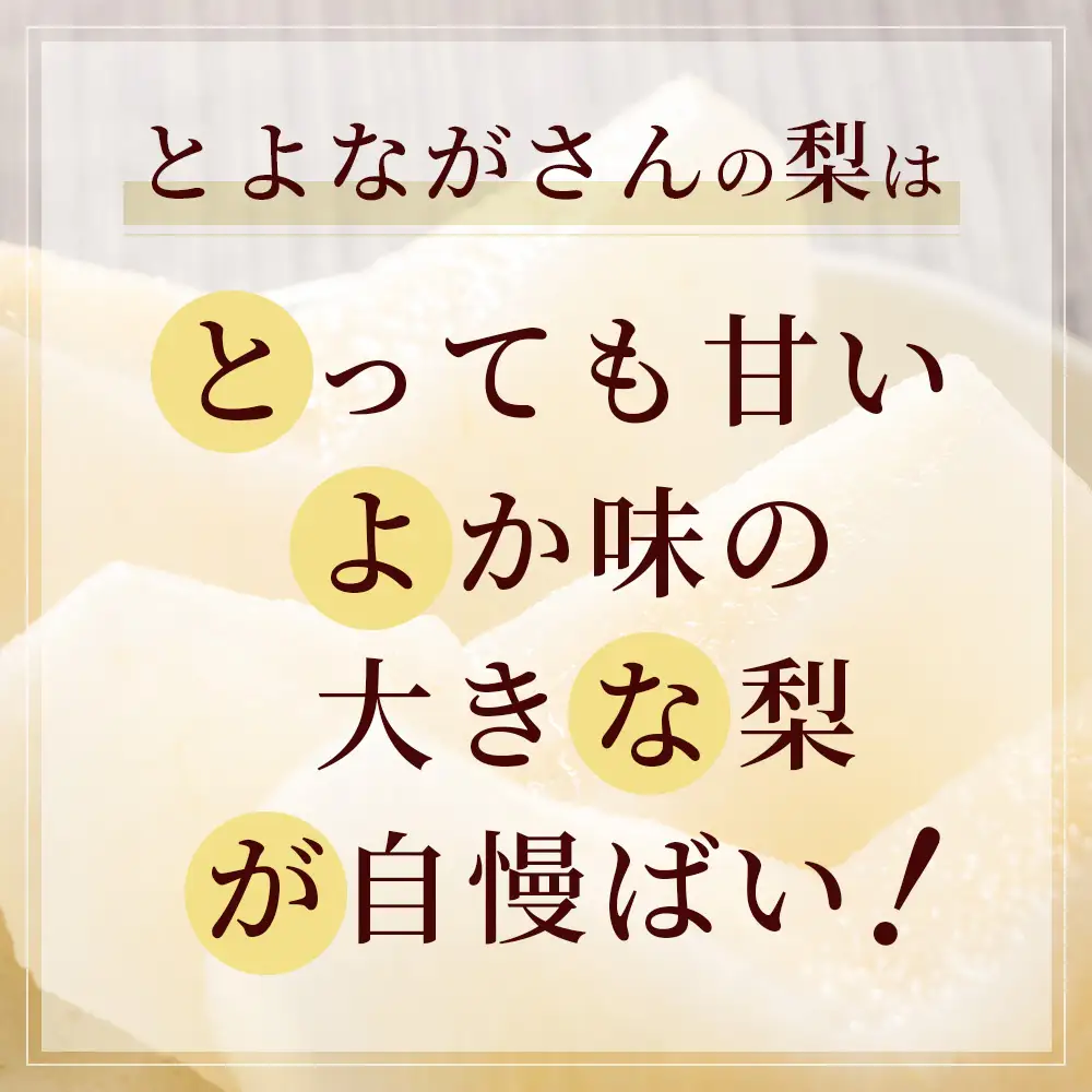 【2026年8月中旬～発送】豊永の 梨 約3kg 熊本県 070-0593