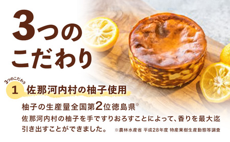 柚子バスクチーズケーキ 1ホール 