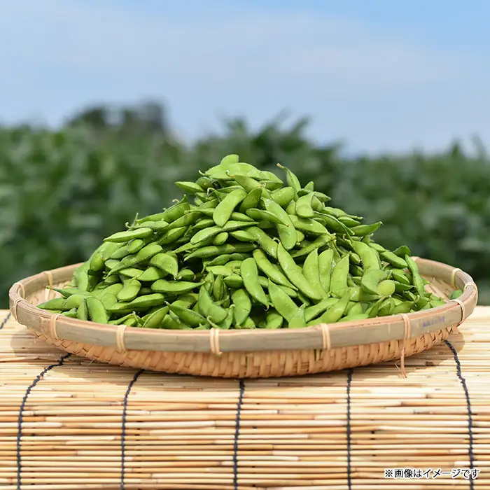 75E-19新潟県長岡産枝豆2.0kg【肴豆250g×8袋入り】