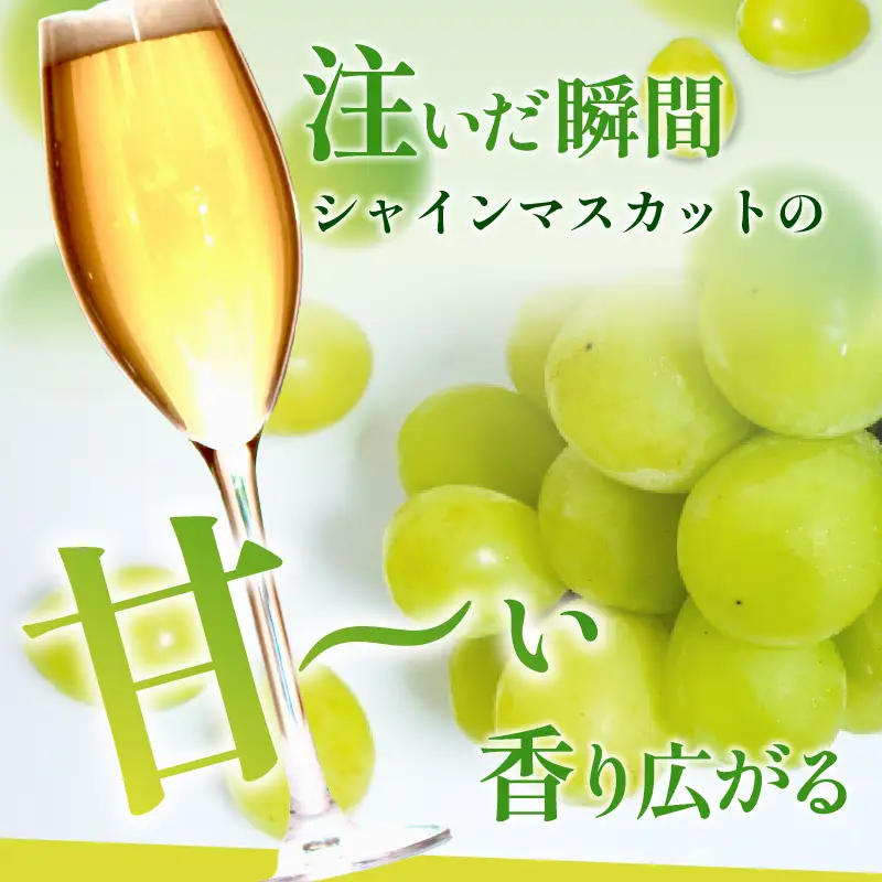 Kyo Tango Shine Beer 3本セット 白ワインやシャンパンのように楽しめる爽やかなフルールビール　丹後クラフトビール