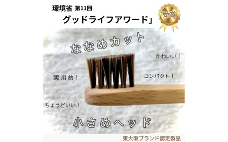 自然に還る歯ブラシ「turalist」歯ブラシスタンドセット