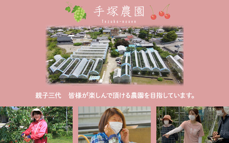 【☆先行予約☆2025年/令和7年発送分】 サマーエンジェル 山梨 サマーエンジェル すもも AV-20