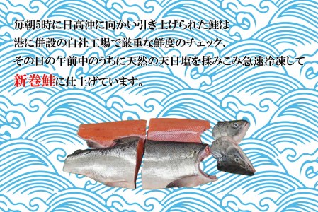 北海道産 網元特製 新巻鮭 半身2切れ 2.5kg 前後 