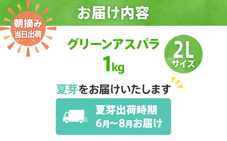 先行予約 アスパラ 2Lサイズ 1kg 朝採り 直送 夏芽 グリーンアスパラガス 朝採れ 数量限定 【2026年6月から8月お届け】 BT06
