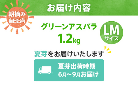 先行予約 アスパラ LMサイズ 1.2kg 朝採り 直送 夏芽 グリーンアスパラガス 朝採れ 数量限定 【2026年6月から9月お届け】 BT07